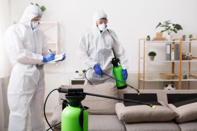 Quand faire appel à une désinfection professionnelle à Tergnier ?